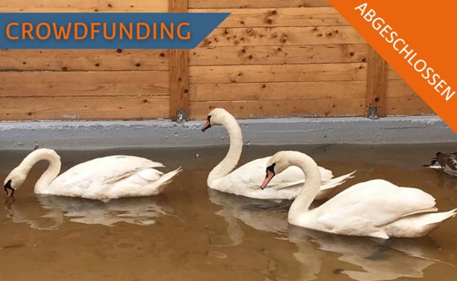 Abgeschlossen: Crowdfunding Volière für grosse Wasservögel im SUST-Wildlife Rehabilitation Center